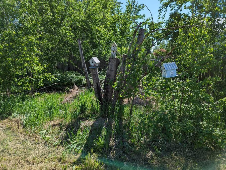 Nunaka Valley Cottage Anchorage Dış mekan fotoğraf
